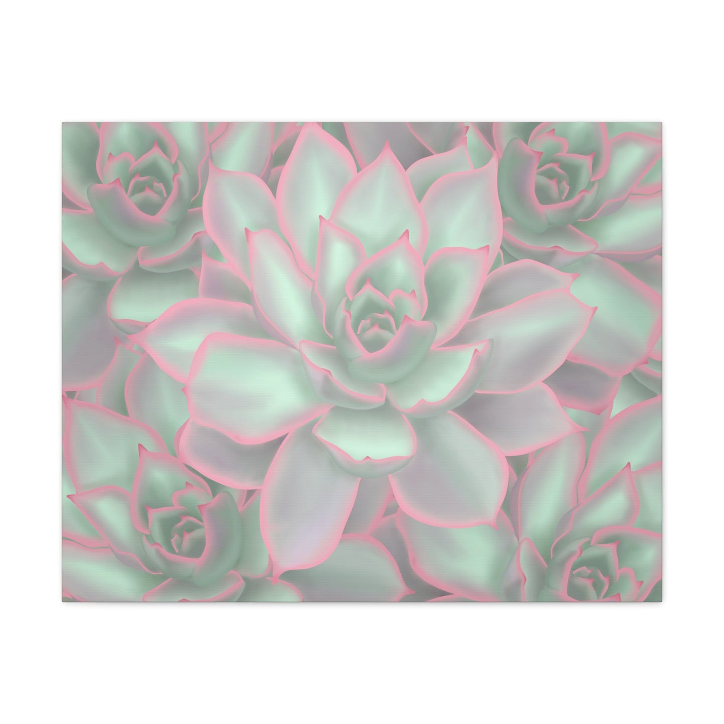 Echeveria Violet Queen Succulent Pattern Canvas Print – Botanical Wall Art