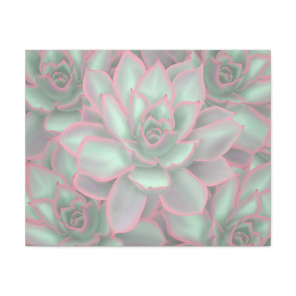 Echeveria Violet Queen Succulent Pattern Canvas Print – Botanical Wall Art