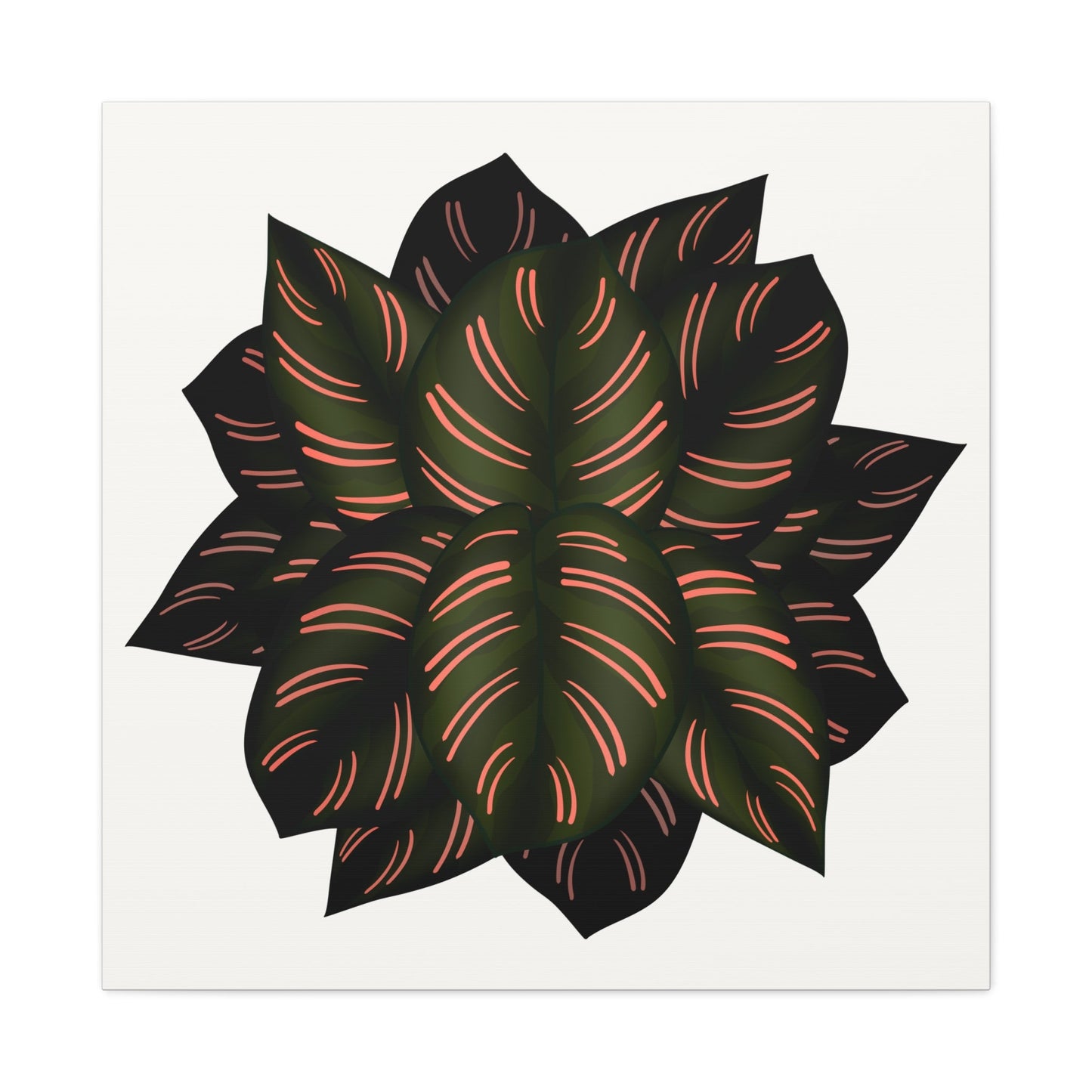 Calathea Pinstripe Canvas Print – Botanical Wall Art