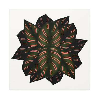 Calathea Pinstripe Canvas Print – Botanical Wall Art