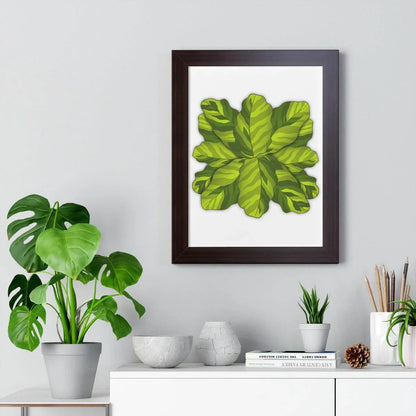 Calathea Yellow Fusion Framed Print – Botanical Wall Art