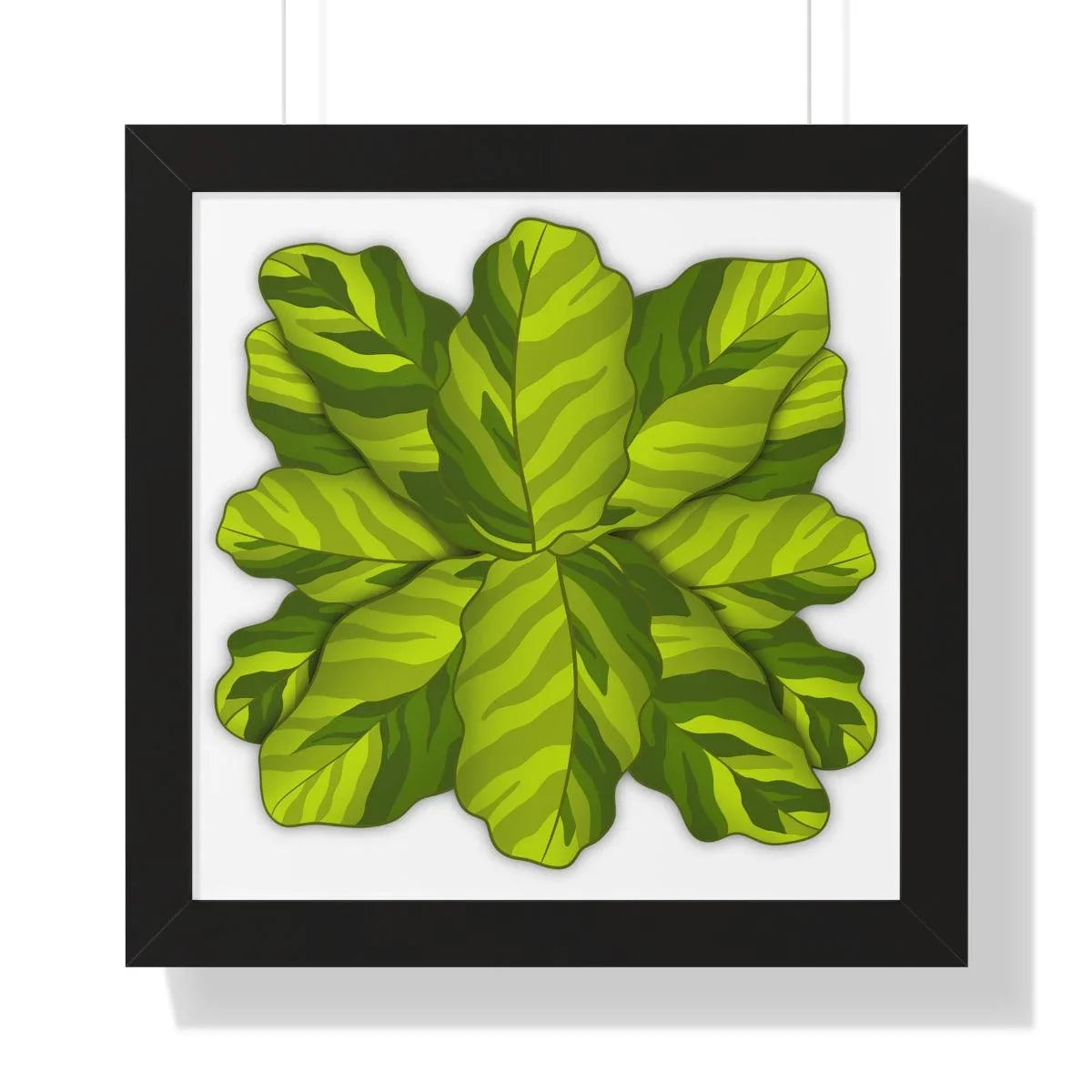 Calathea Yellow Fusion Framed Print – Botanical Wall Art
