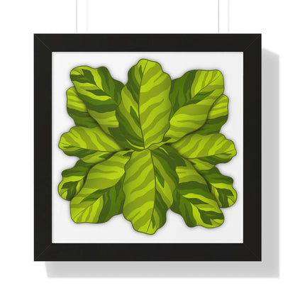 Calathea Yellow Fusion Framed Print – Botanical Wall Art