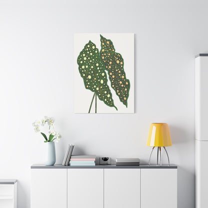 Begonia Maculata Canvas Print – Botanical Wall Art