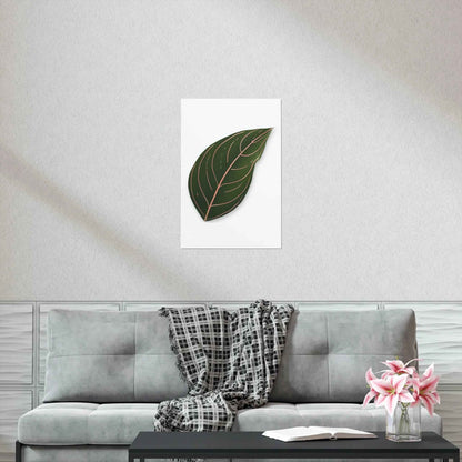 Aglaonema Rotundum Botanical Print – Unframed Wall Art