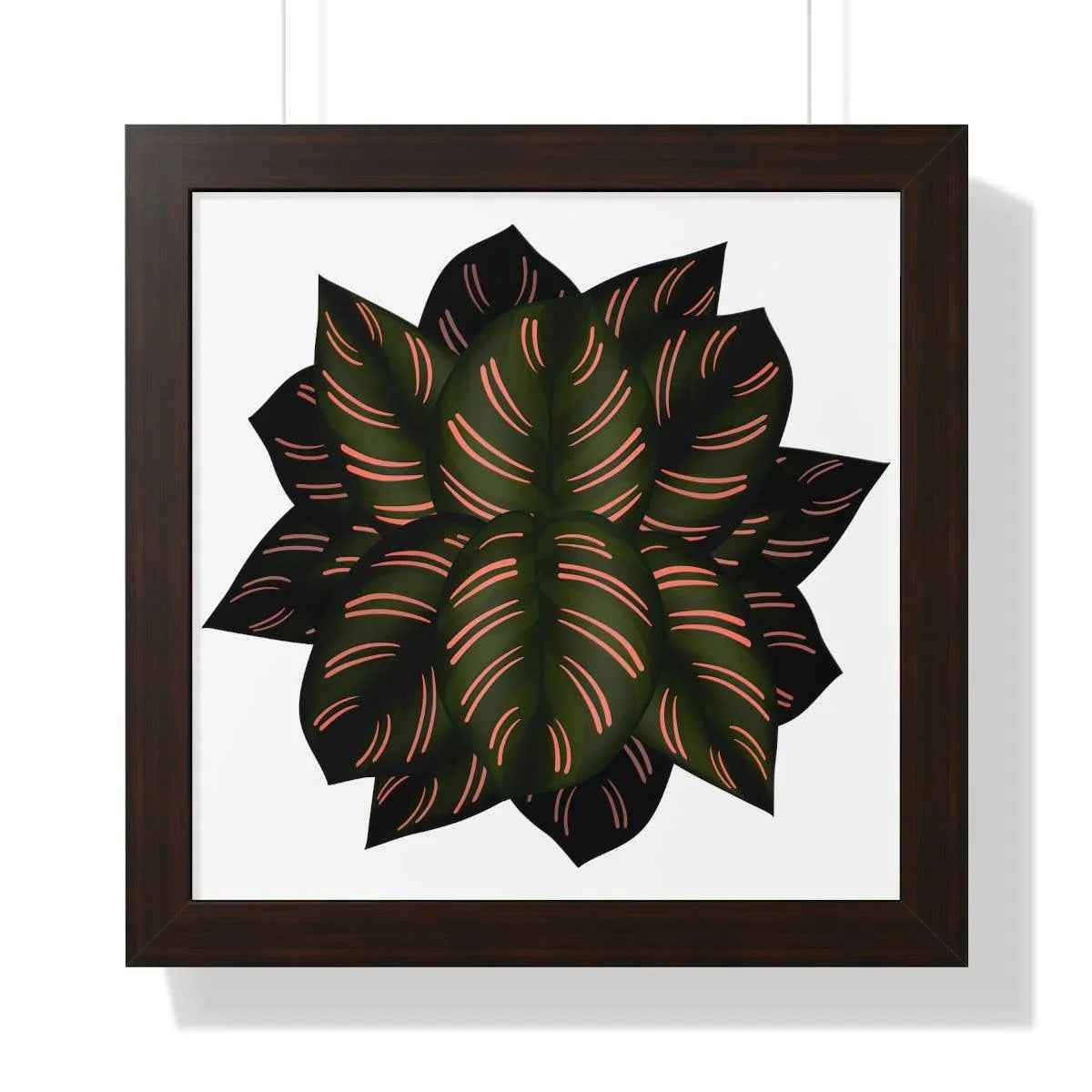 Calathea Pinstripe Framed Print – Botanical Wall Art