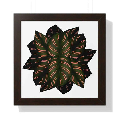 Calathea Pinstripe Framed Print – Botanical Wall Art