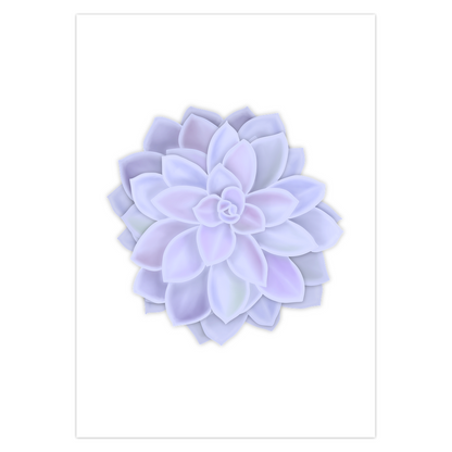 Graptopetalum Murasaki Succulent Greeting Card – Blank Inside With Envelope
