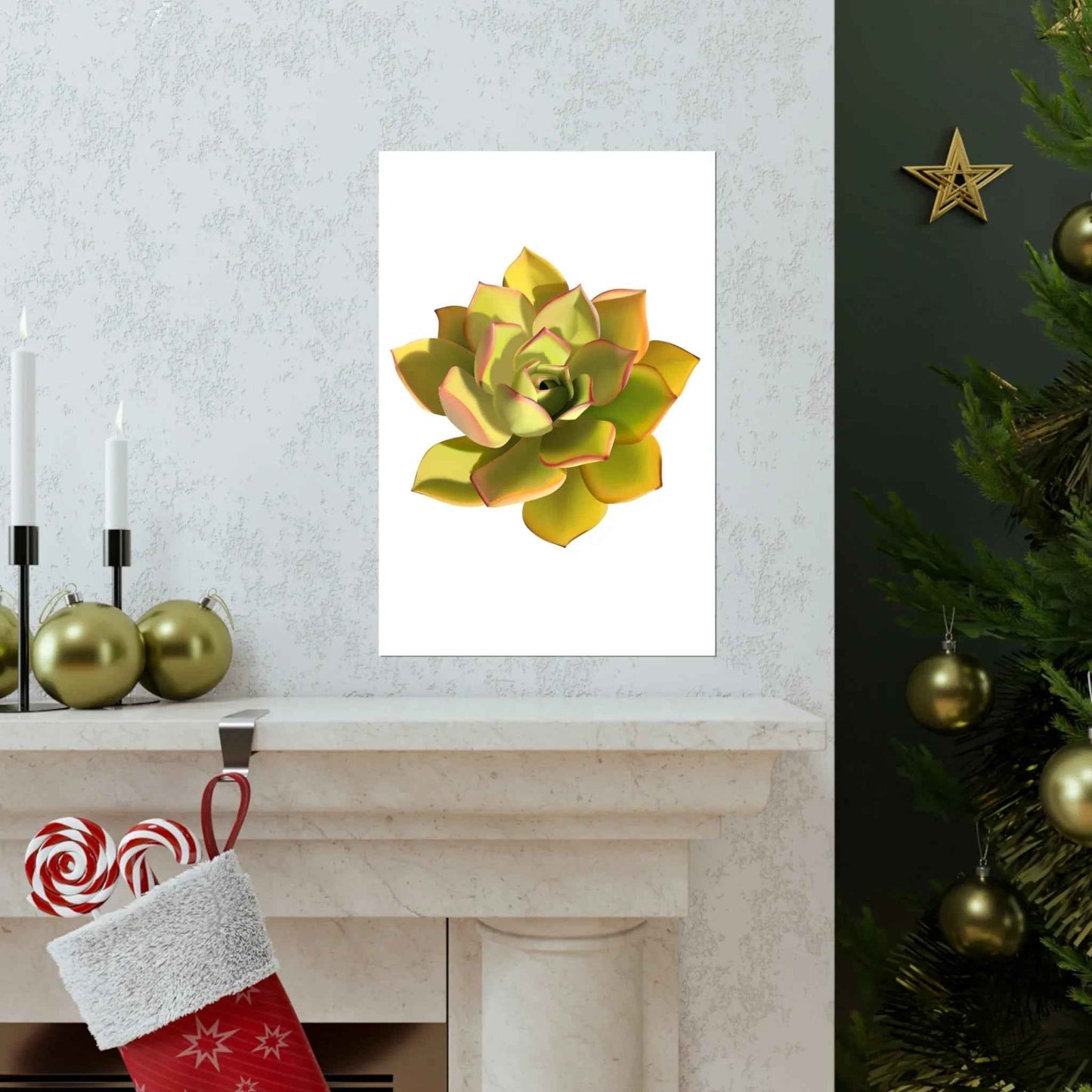Noble Aeonium Succulent Botanical Print – Unframed Wall Art