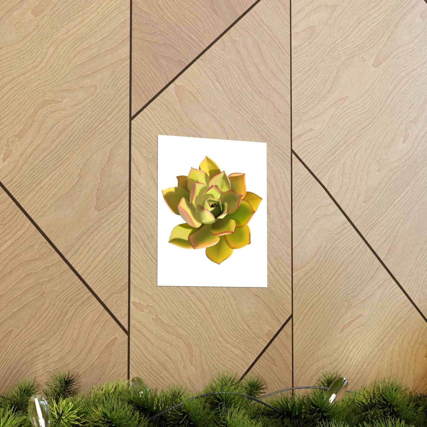 Noble Aeonium Succulent Botanical Print – Unframed Wall Art