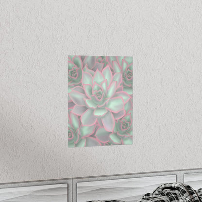 Echeveria Violet Queen Succulent Pattern Botanical Print – Unframed Wall Art