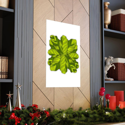 Calathea Yellow Fusion Botanical Print – Unframed Wall Art