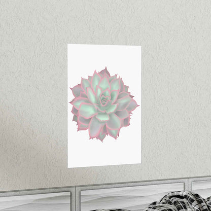 Echeveria Violet Queen Succulent Botanical Print – Unframed Wall Art