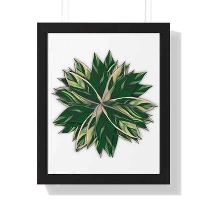 Stromanthe Triostar Framed Print – Botanical Wall Art