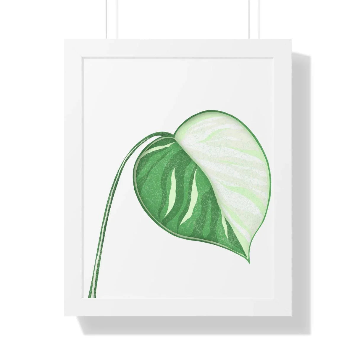 Monstera Albo Illustrated Framed Print – Botanical Wall Art