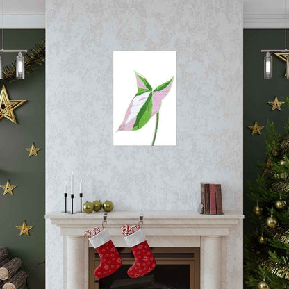 Syngonium Tricolor Botanical Print – Unframed Wall Art