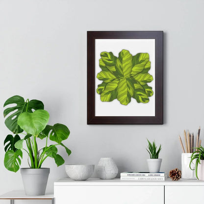 Calathea Yellow Fusion Framed Print – Botanical Wall Art