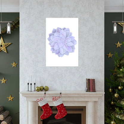 Graptopetalum Murasaki Succulent Botanical Print – Unframed Wall Art
