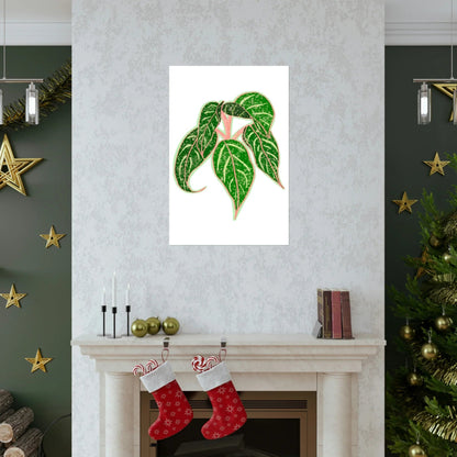 Aglaonema Sparkling Sarah Botanical Print – Unframed Wall Art