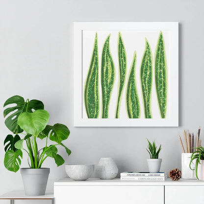 Snake Plant Framed Print – Botanical Wall Art