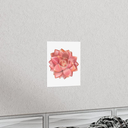 Graptosedum California Sunset Succulent Botanical Print – Unframed Wall Art