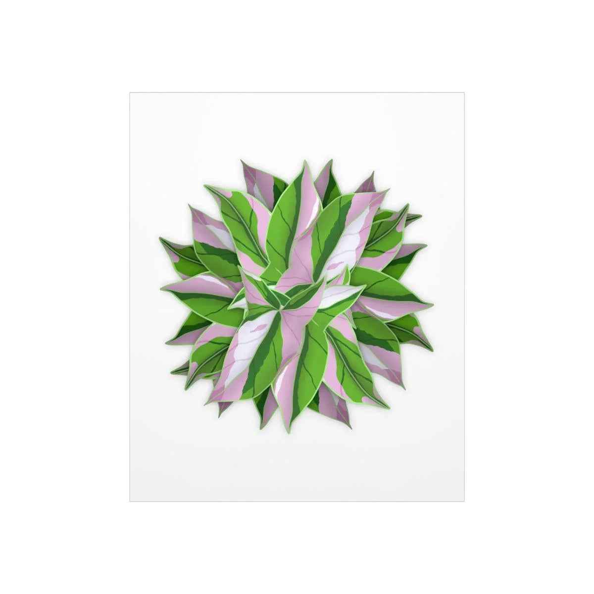 Syngonium Tricolor Pattern Botanical Print – Unframed Wall Art