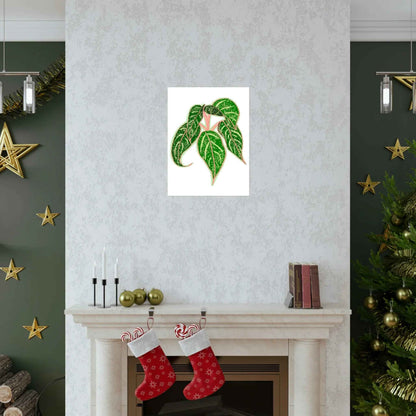 Aglaonema Sparkling Sarah Botanical Print – Unframed Wall Art