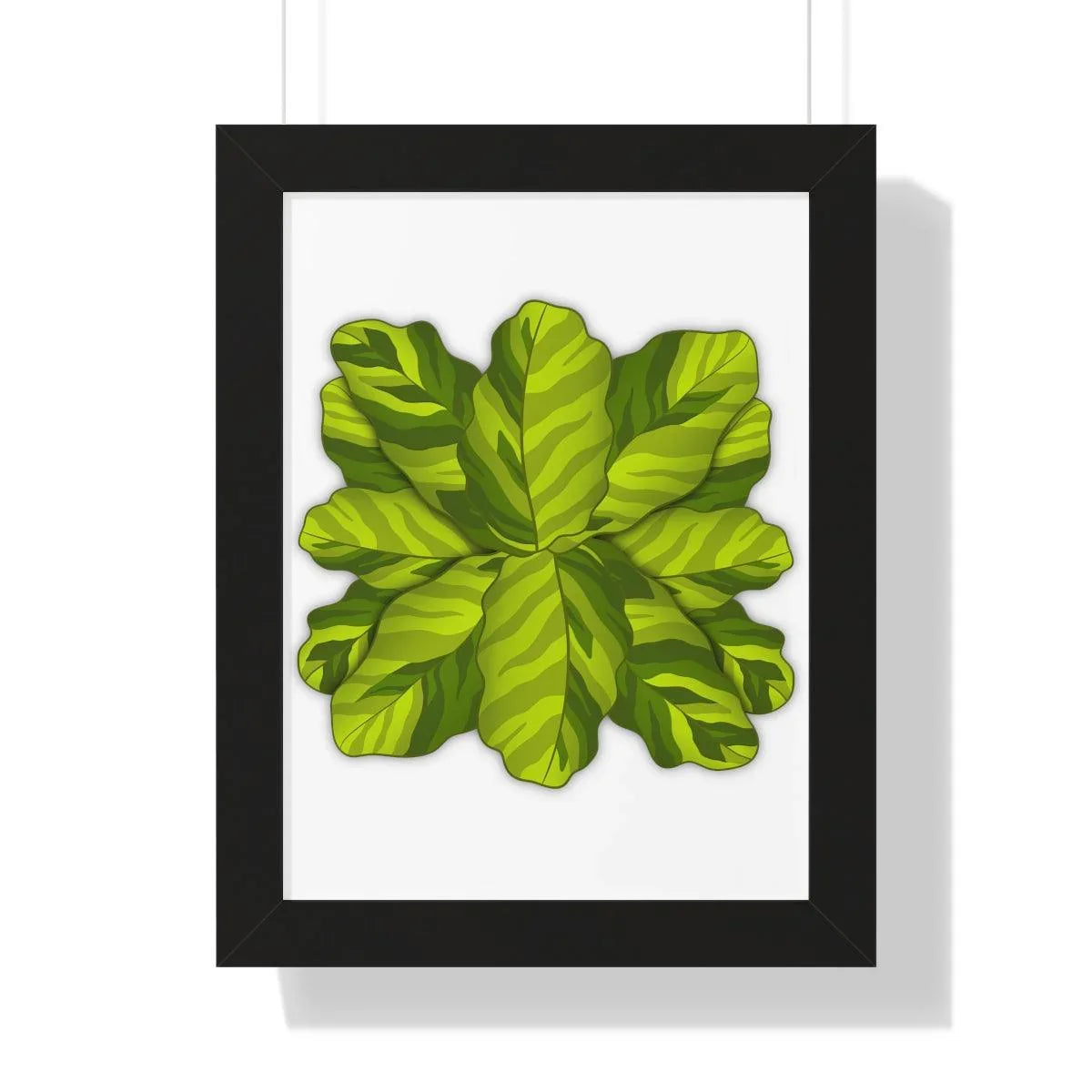 Calathea Yellow Fusion Framed Print – Botanical Wall Art