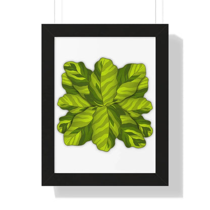 Calathea Yellow Fusion Framed Print – Botanical Wall Art