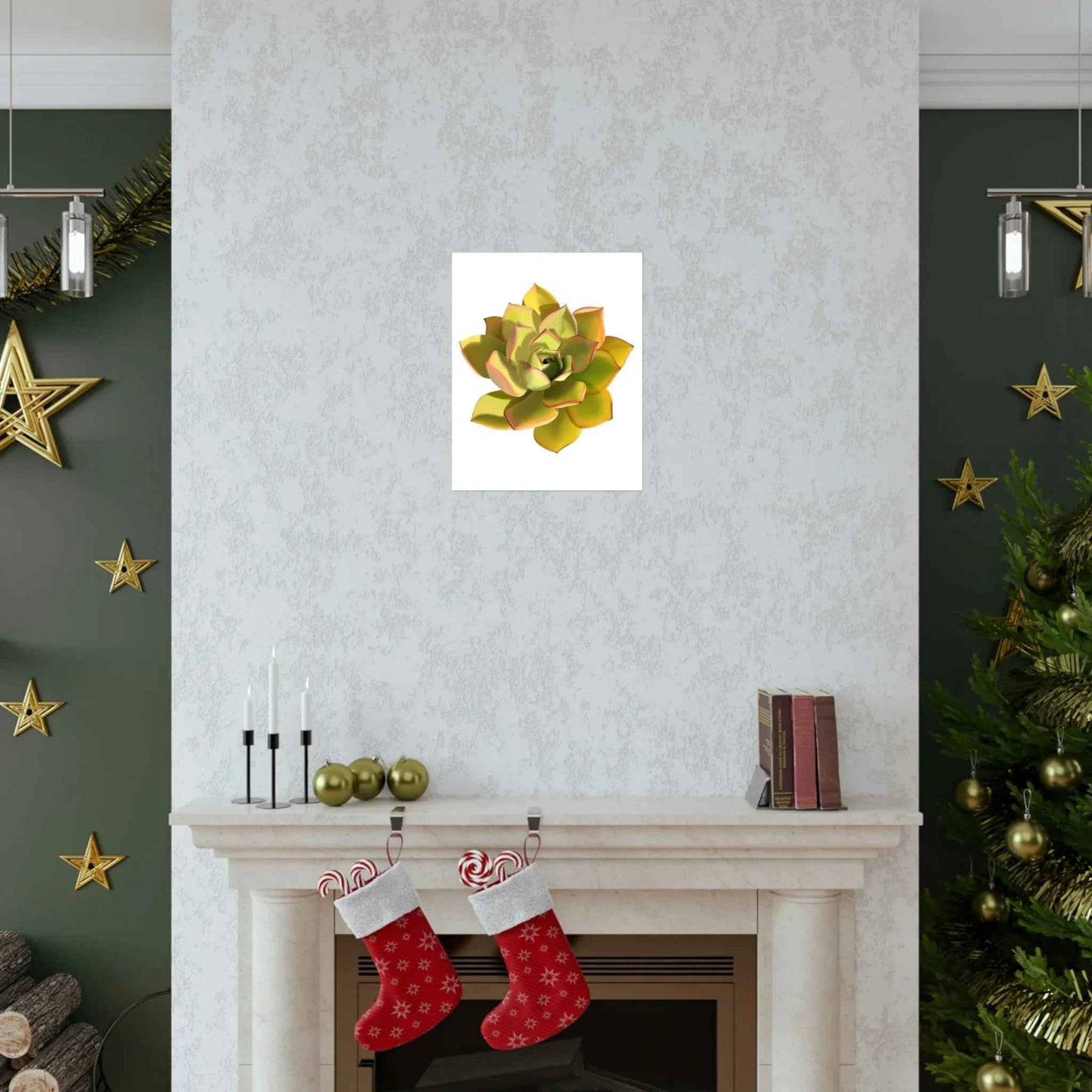 Noble Aeonium Succulent Botanical Print – Unframed Wall Art