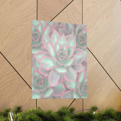 Echeveria Violet Queen Succulent Pattern Botanical Print – Unframed Wall Art