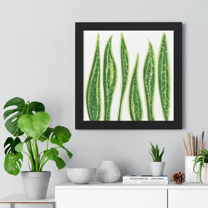 Snake Plant Framed Print – Botanical Wall Art