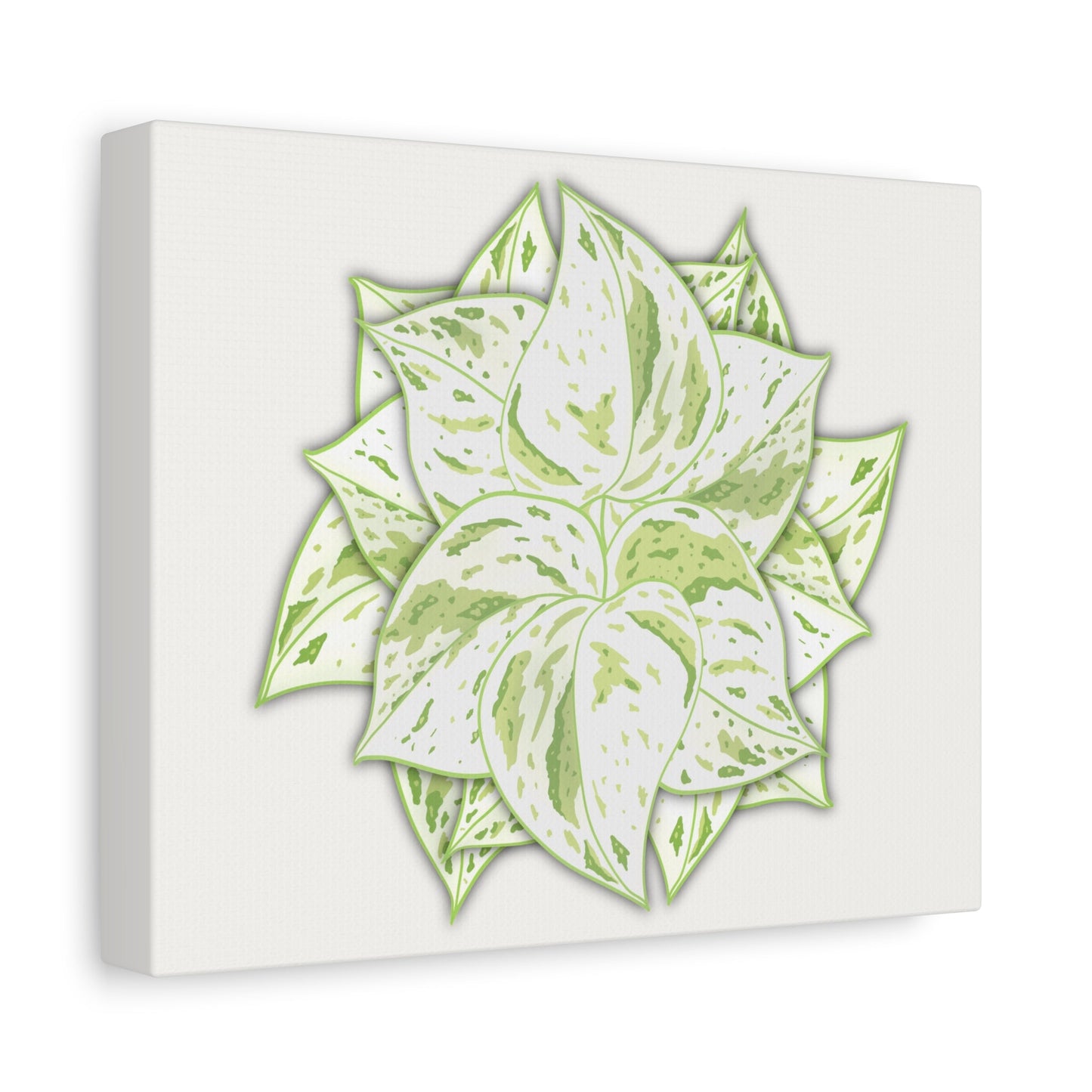 Snow Queen Pothos Canvas Print – Botanical Wall Art