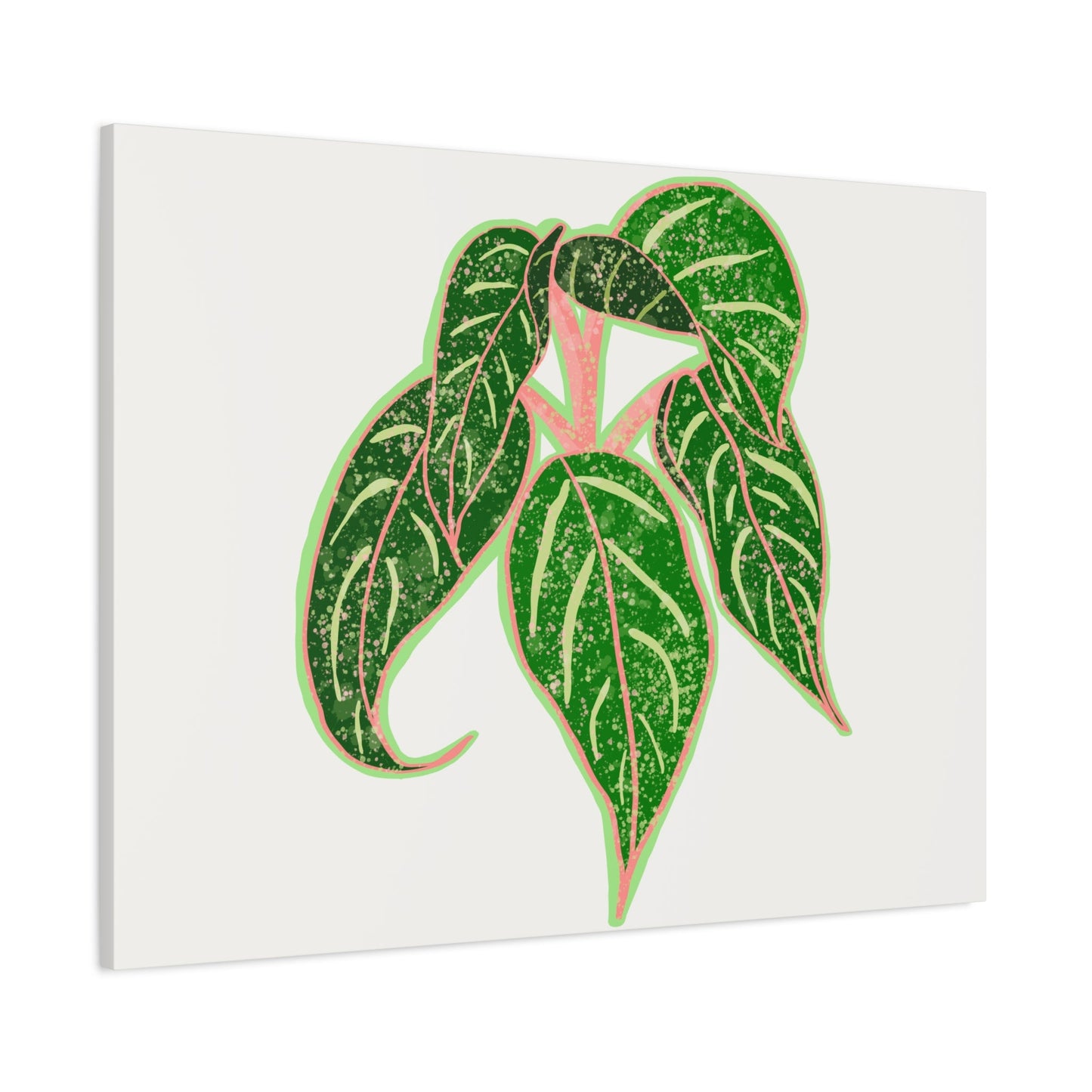 Aglaonema Sparkling Sarah Canvas Print – Botanical Wall Art