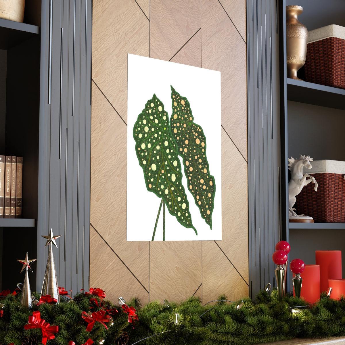 Begonia Maculata Botanical Print – Unframed Wall Art
