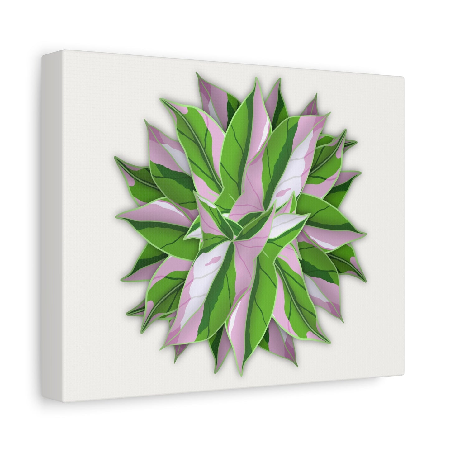 Syngonium Tricolor Pattern Canvas Print – Botanical Wall Art