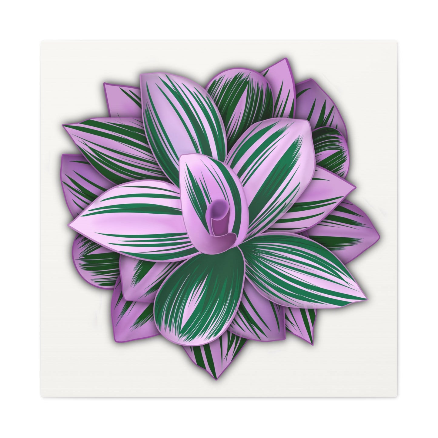 Tradescantia Nanouk Canvas Print – Botanical Wall Art