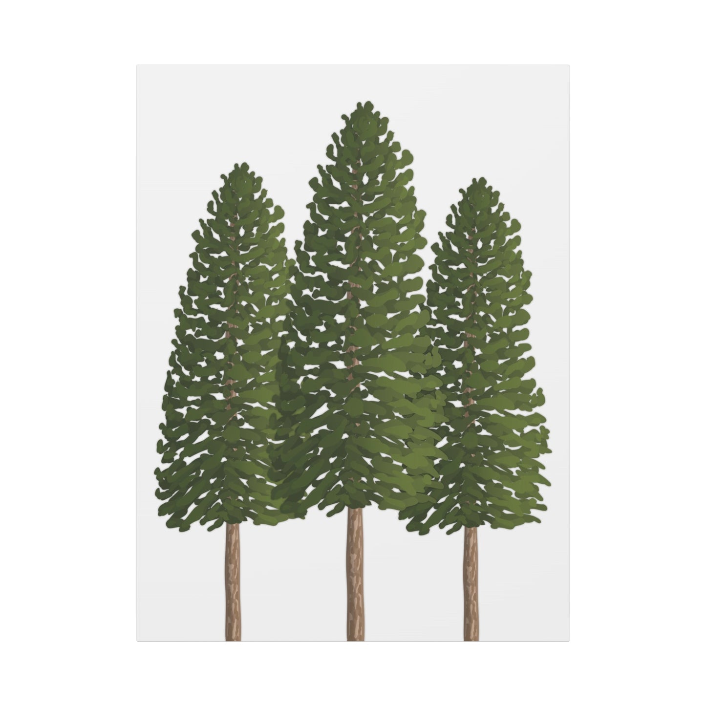 Ponderosa Pine Canvas Print – Wall Art
