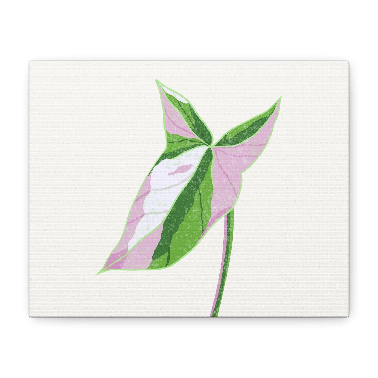 Syngonium Tricolor Canvas Print – Botanical Wall Art