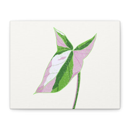 Syngonium Tricolor Canvas Print – Botanical Wall Art