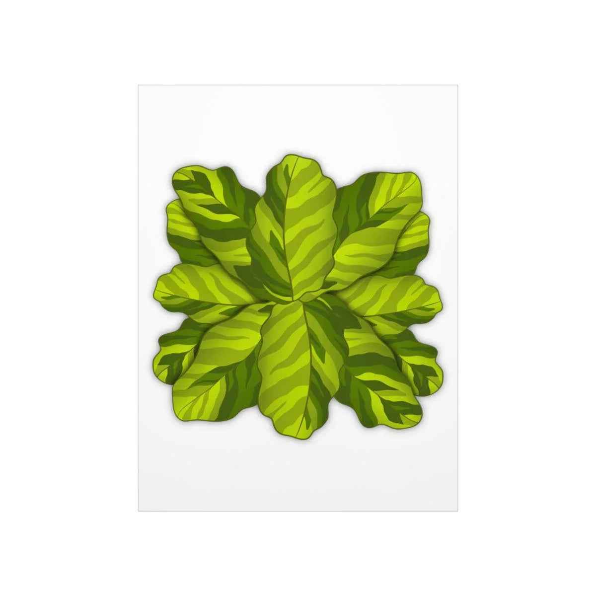 Calathea Yellow Fusion Botanical Print – Unframed Wall Art