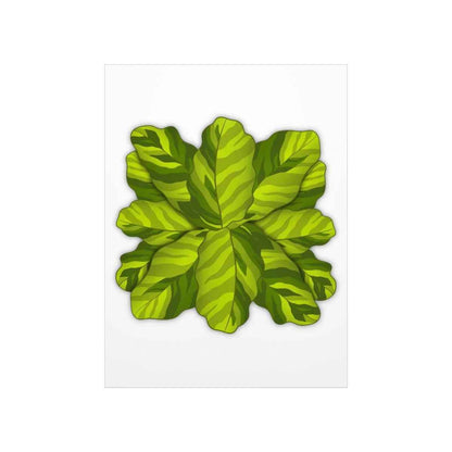 Calathea Yellow Fusion Botanical Print – Unframed Wall Art