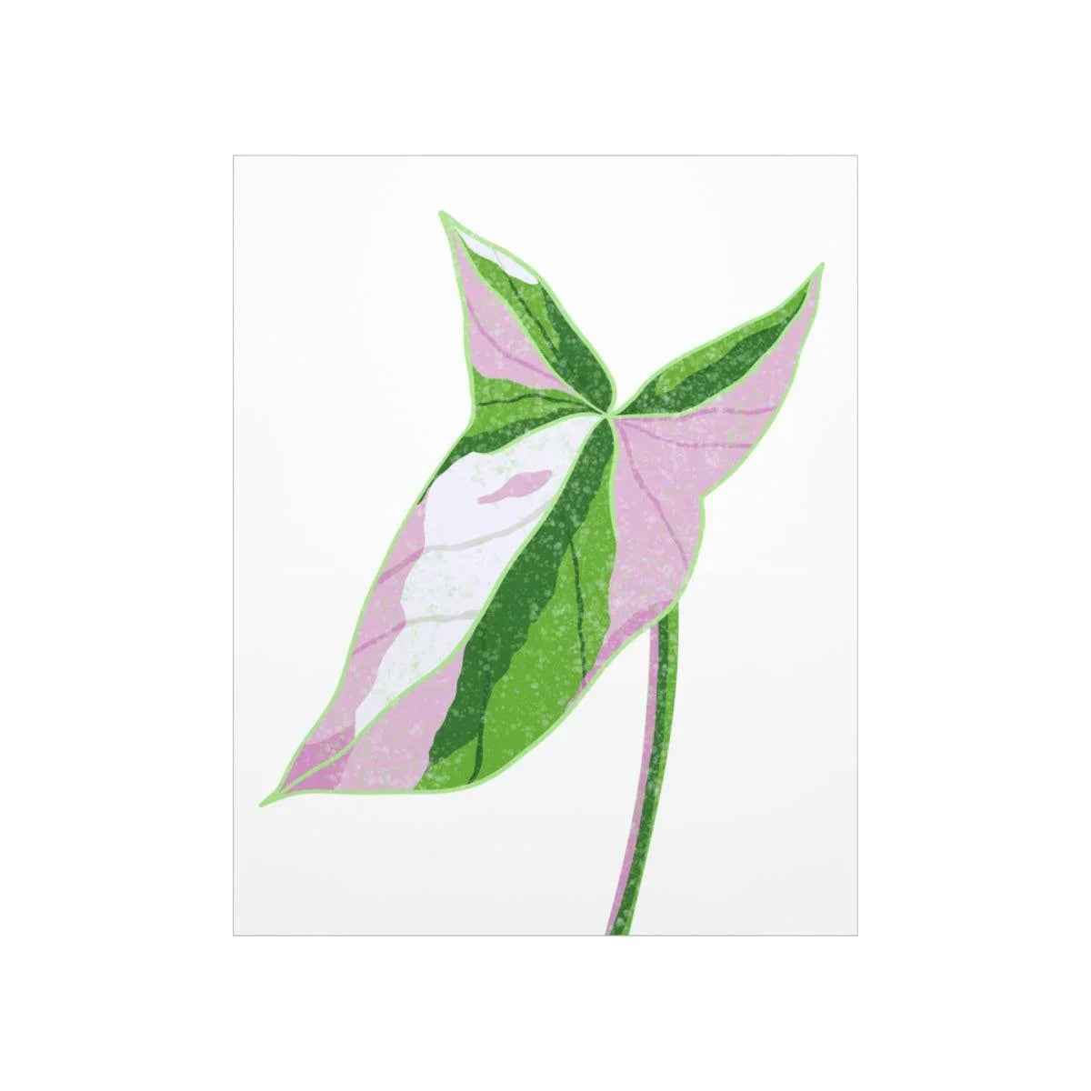 Syngonium Tricolor Botanical Print – Unframed Wall Art
