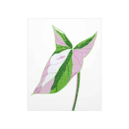 Syngonium Tricolor Botanical Print – Unframed Wall Art