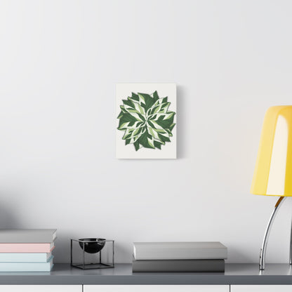 Calathea White Fusion Canvas Print – Botanical Wall Art