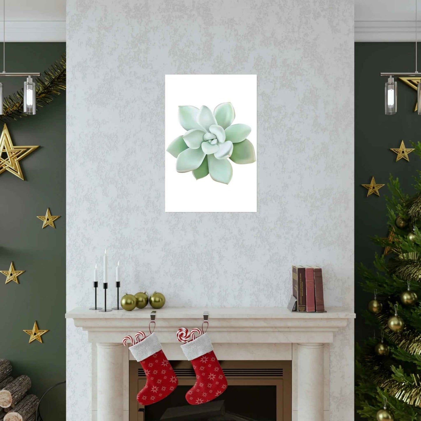 Pachyveria Haagei Succulent Botanical Print – Unframed Wall Art