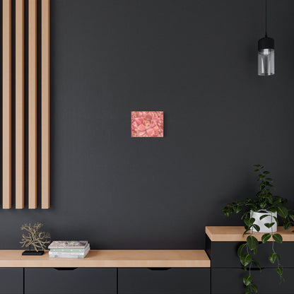 Graptosedum California Sunset Succulent Pattern Canvas Print – Botanical Wall Art