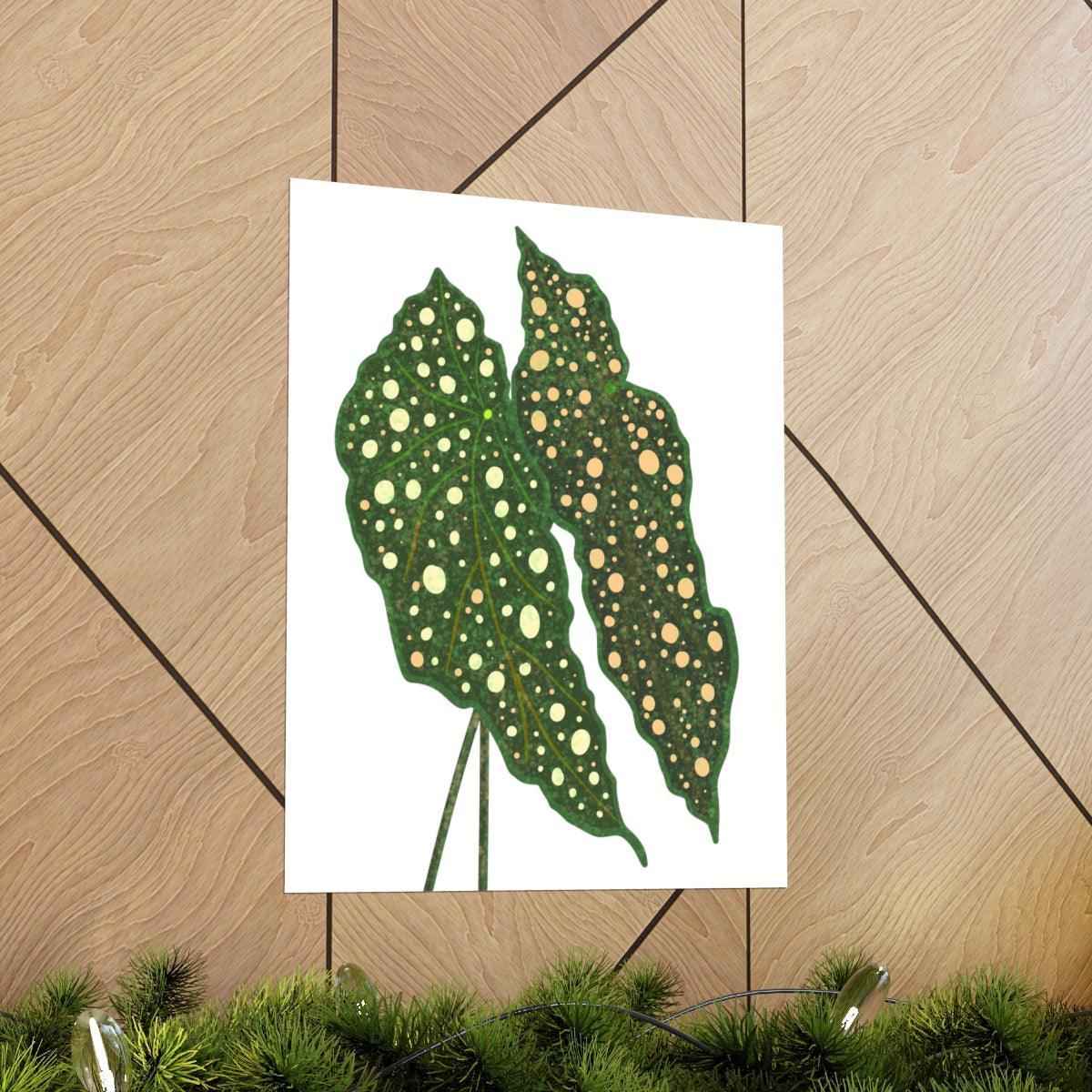 Begonia Maculata Botanical Print – Unframed Wall Art