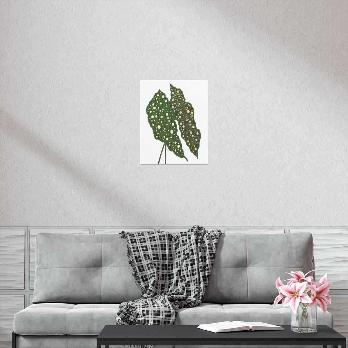 Begonia Maculata Botanical Print – Unframed Wall Art
