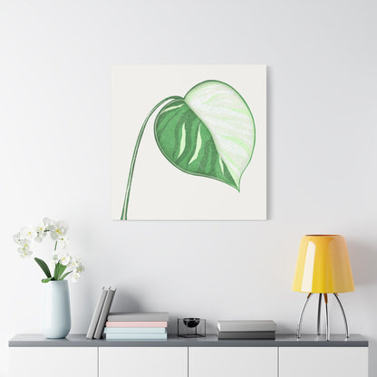 Monstera Albo Canvas Print – Botanical Wall Art